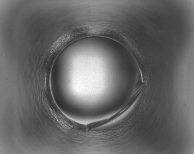 X0000086310685200703301151