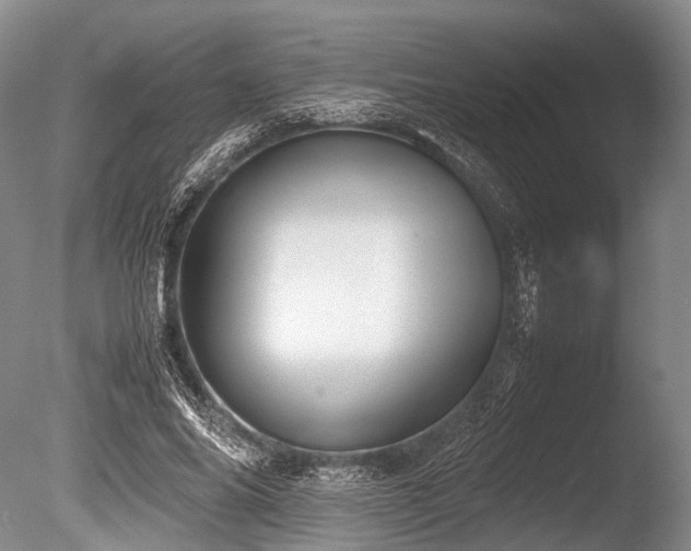 X0000086310686200703301151
