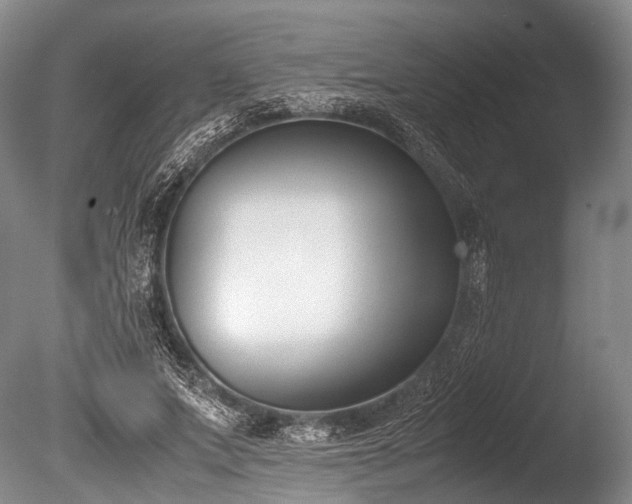 X0000086310687200703301151