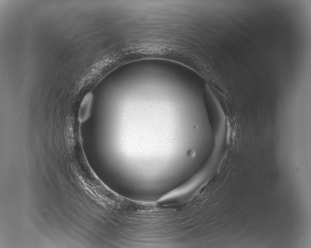 X0000086310688200703301151