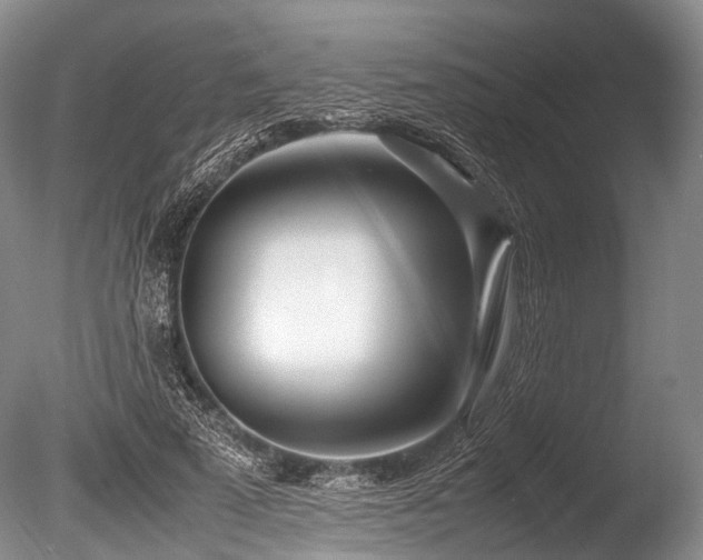X0000086310689200703301151