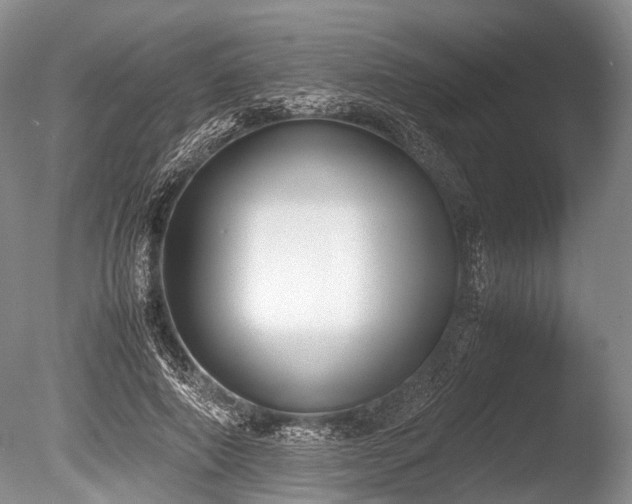 X0000086310690200703301151
