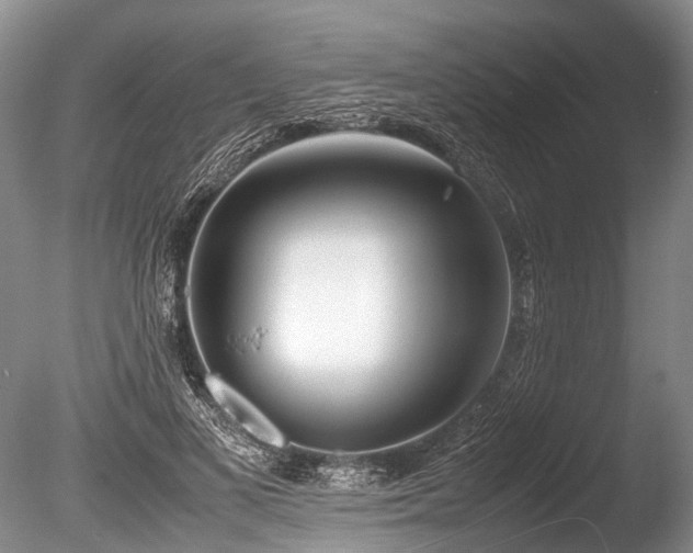 X0000086310693200703301151
