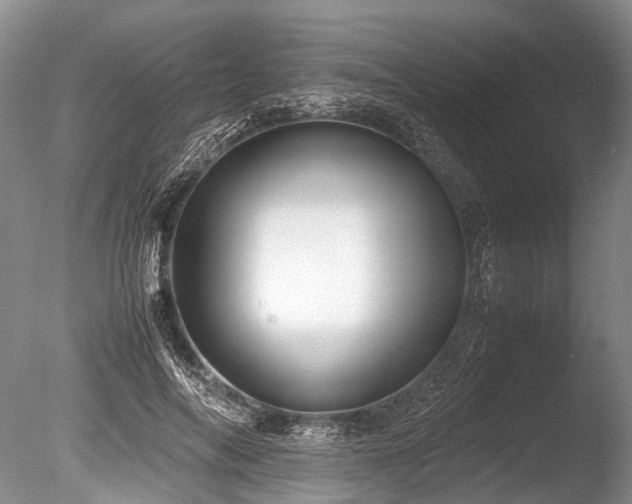 X0000086310694200703301151
