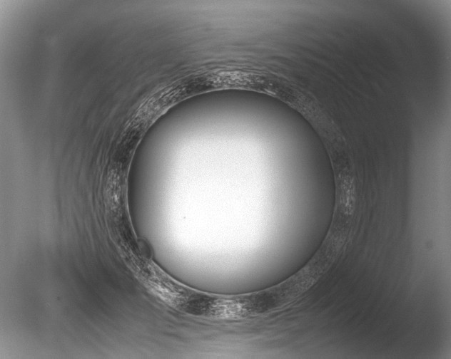 X0000086310701200703301151