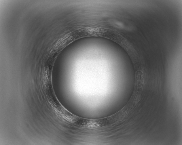 X0000086310702200703301151
