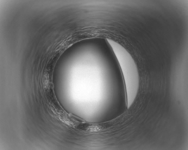 X0000086310704200703301151
