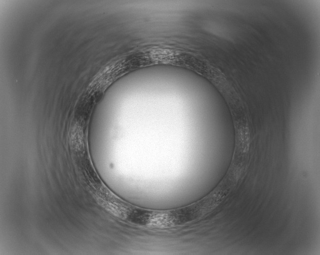 X0000086310705200703301151
