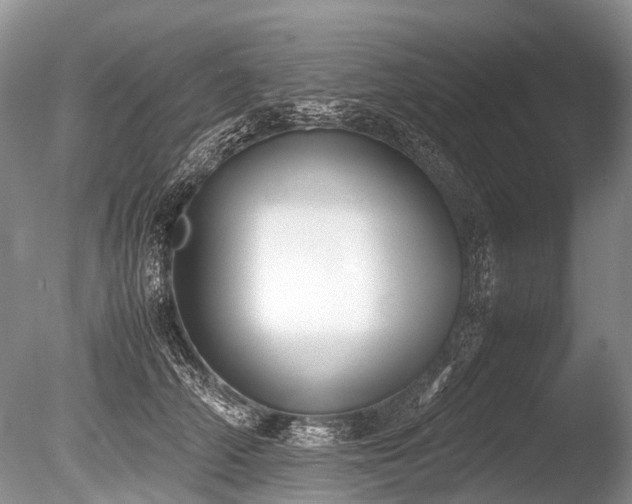 X0000086310706200703301151