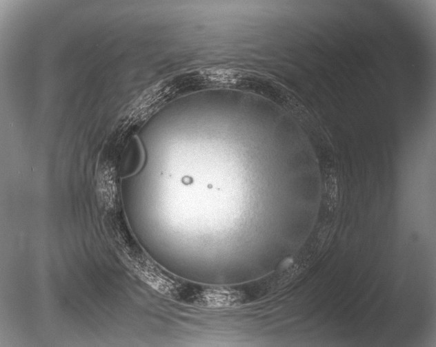 X0000086310707200703301151