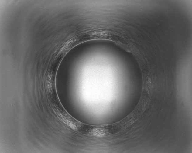 X0000086310708200703301151