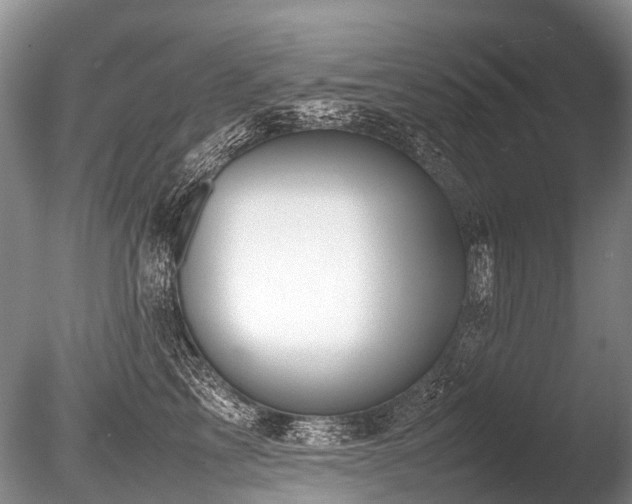 X0000086310713200703301151