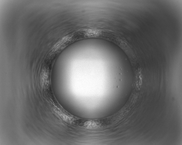 X0000086310714200703301151