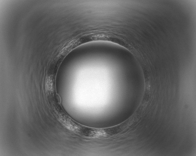 X0000086310715200703301151