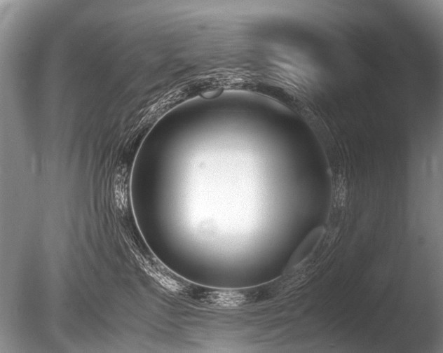 X0000086310719200703301151