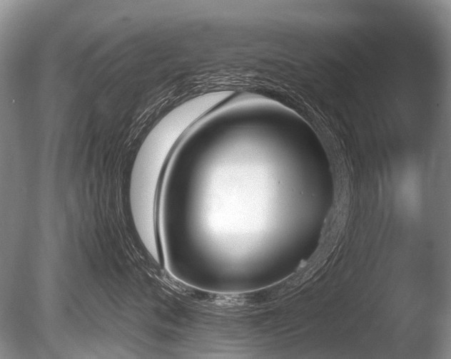 X0000086310720200703301151