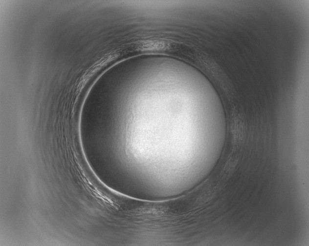 X0000086310721200703301150
