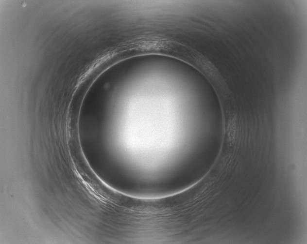 X0000086310722200703301150