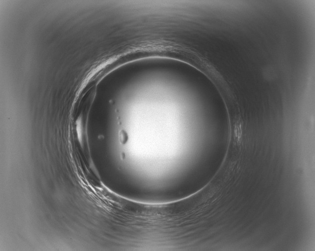 X0000086310724200703301150