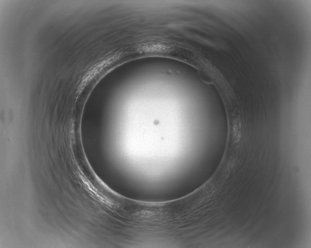 X0000086310725200703301150