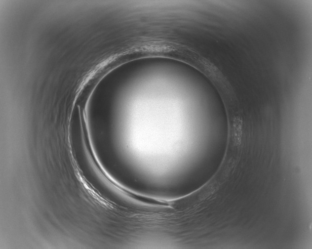 X0000086310726200703301150