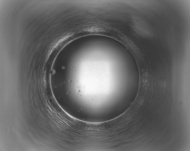 X0000086310727200703301150