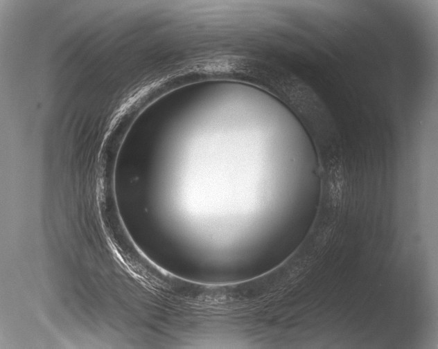 X0000086310728200703301150
