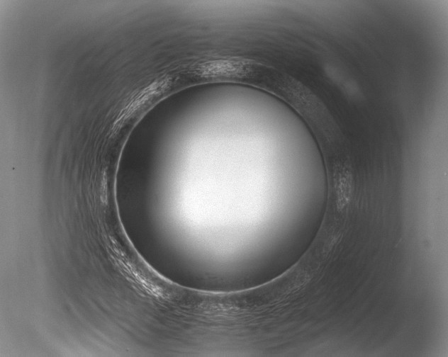 X0000086310729200703301150