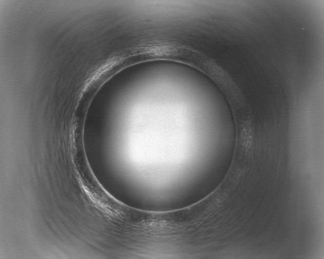 X0000086310730200703301150