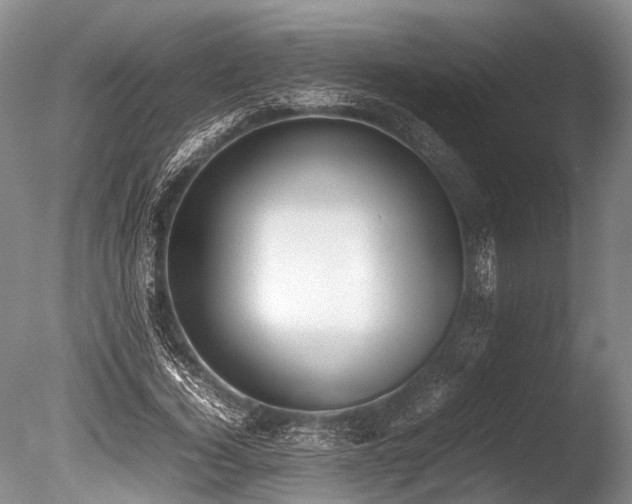 X0000086310732200703301150