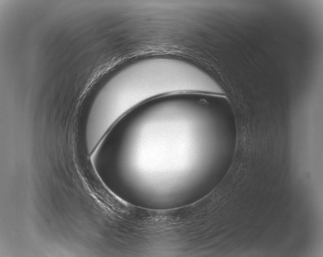 X0000086310736200703301150