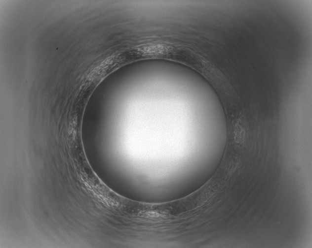 X0000086310737200703301150