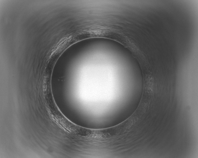 X0000086310738200703301150
