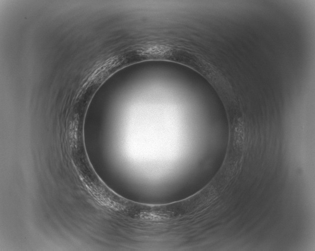 X0000086310739200703301150