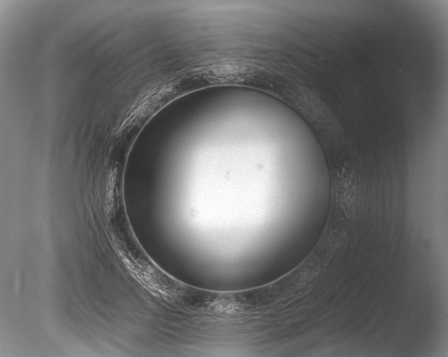 X0000086310742200703301150