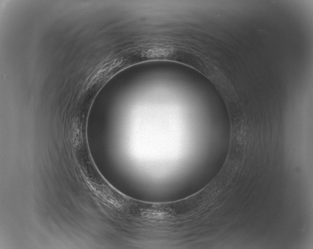 X0000086310743200703301150