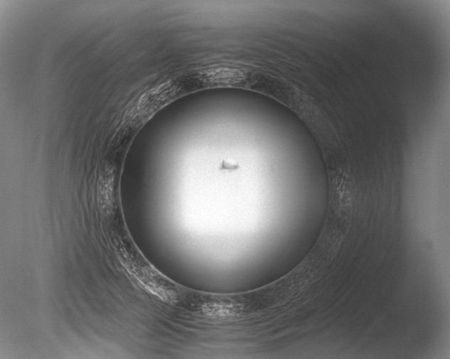 X0000086310745200703301150