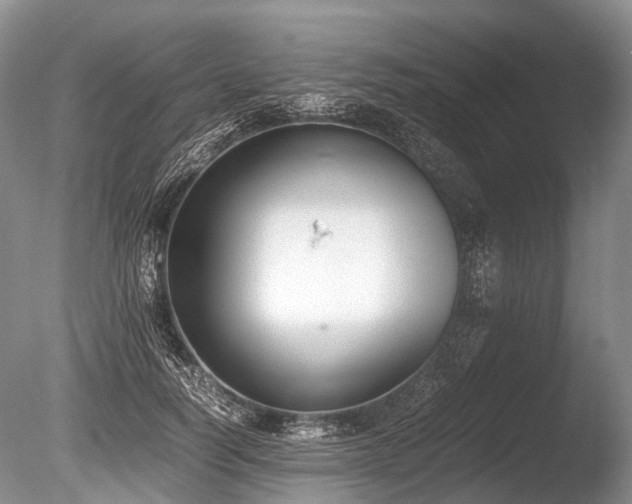 X0000086310746200703301150