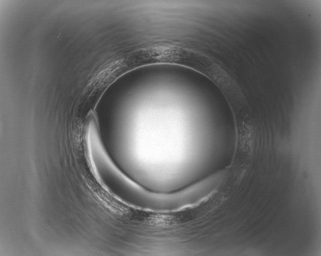 X0000086310748200703301150