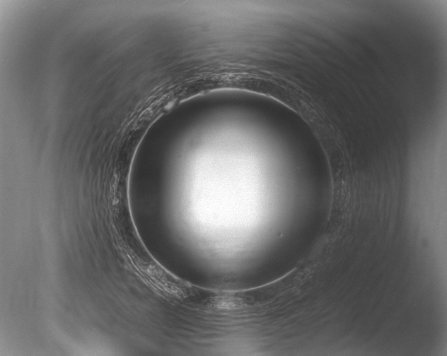 X0000086310750200703301150
