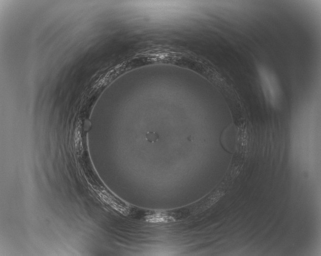 X0000086310754200703301150