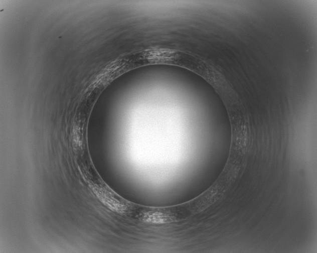 X0000086310755200703301150