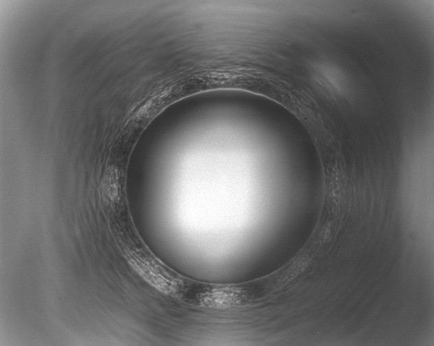 X0000086310758200703301150
