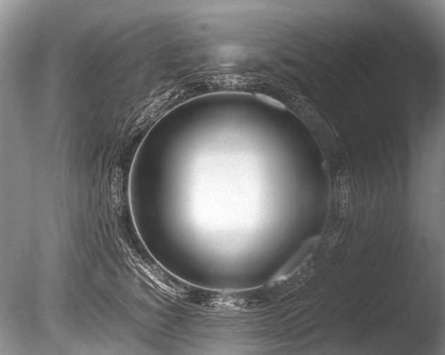 X0000086310760200703301150