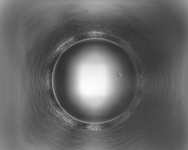 X0000086310762200703301150