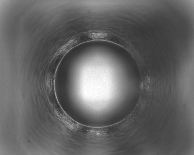 X0000086310763200703301150