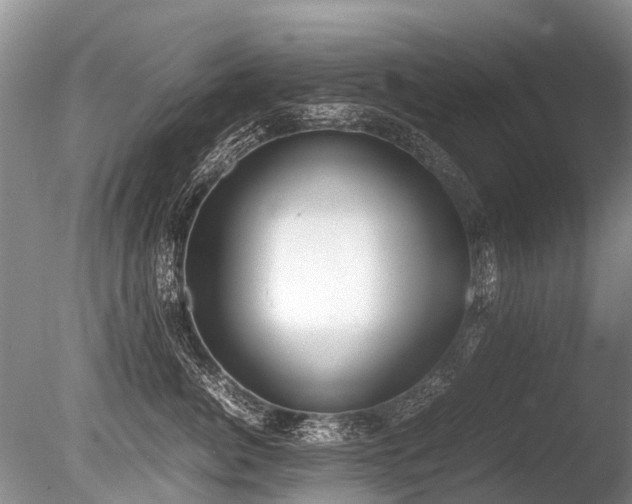 X0000086310764200703301150