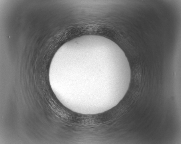 X0000086310769200703301150
