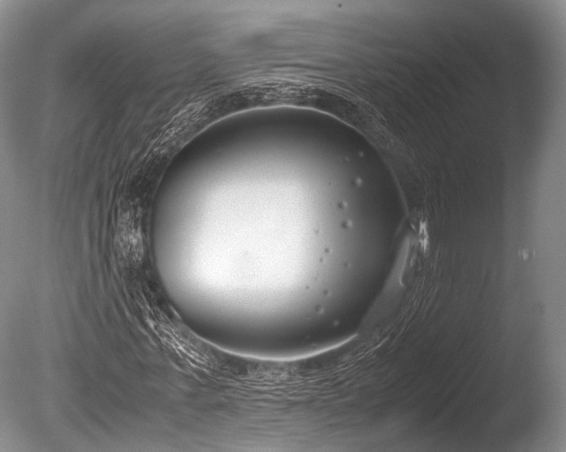 X0000086310771200703301150