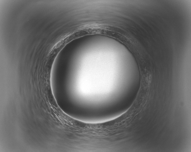 X0000086310775200703301150